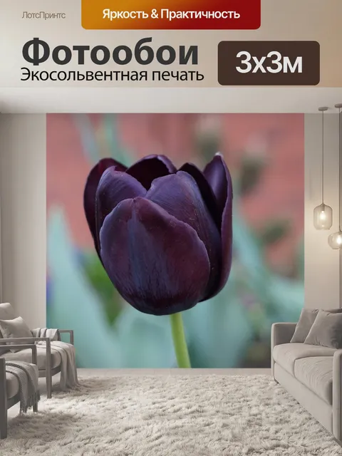 Фотообои Тюльпан