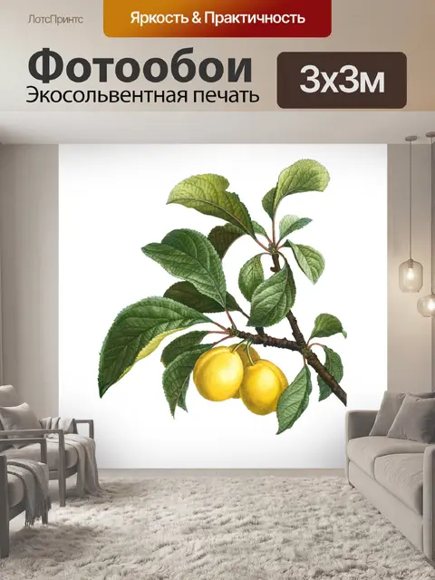Фотообои Винтажный клипарт фрукты сливы Мирабель