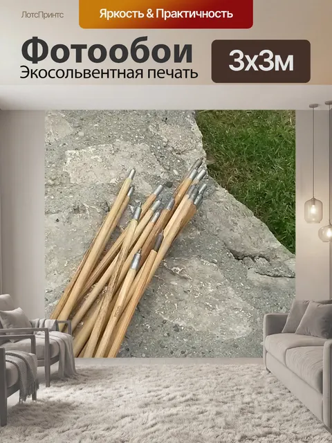 Фотообои Стрелы