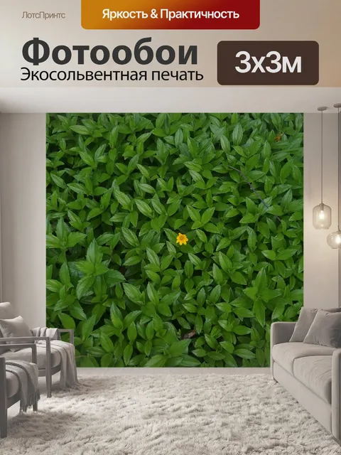 Фотообои Зеленый