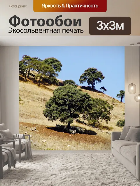 Фотообои Сардиния