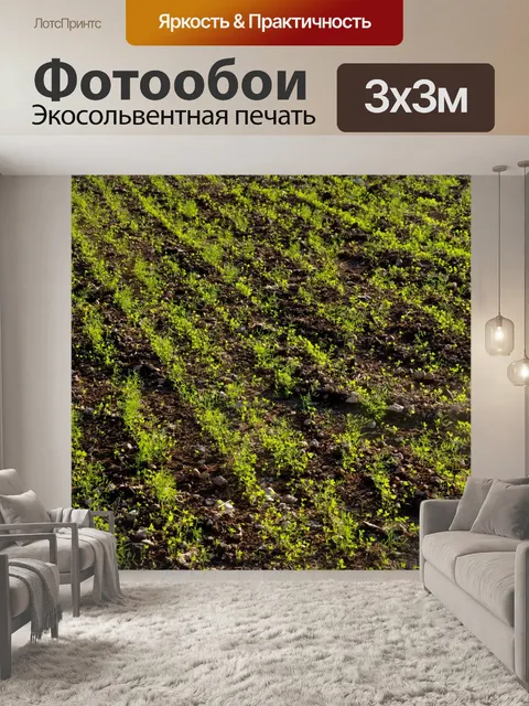 Фотообои Крупный план зеленой пашни