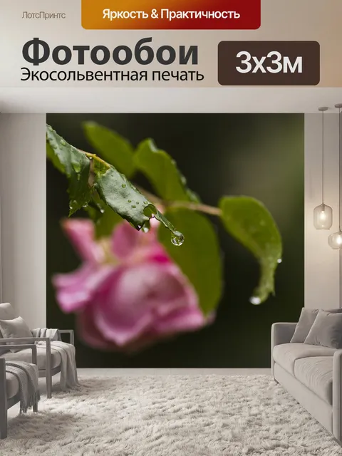 Фотообои Роза