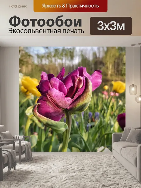 Фотообои Тюльпаны