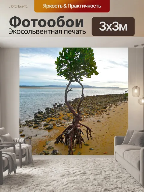 Фотообои Изоляция