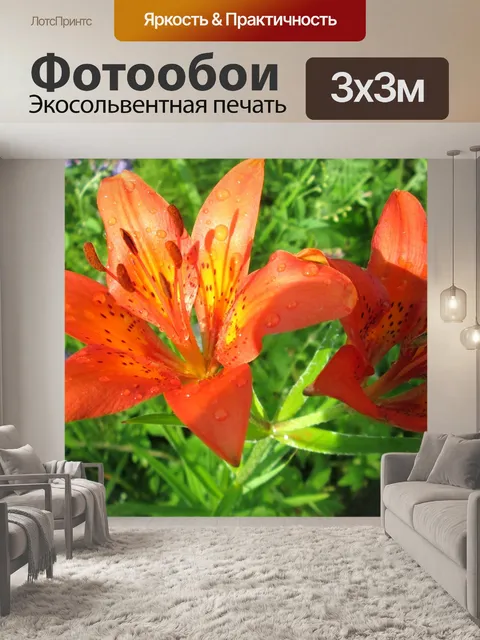 Фотообои Природа