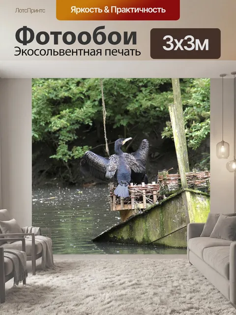 Фотообои Птица