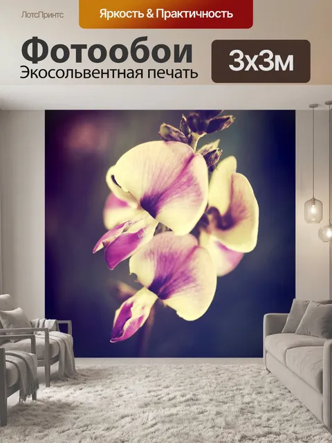 Фотообои Красивый цветок