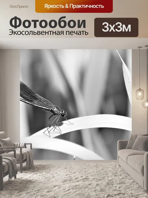 Фотообои Летать