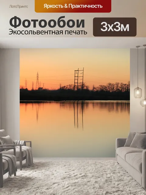 Фотообои Провода силуэт в сумерках