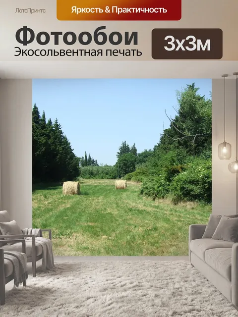 Фотообои Поле