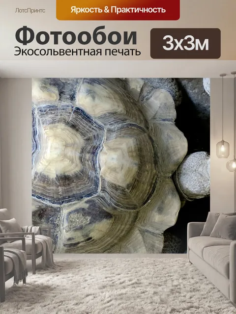 Фотообои Черепаховая раковина