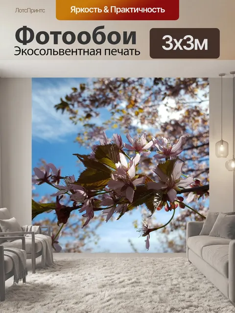 Фотообои Вишни