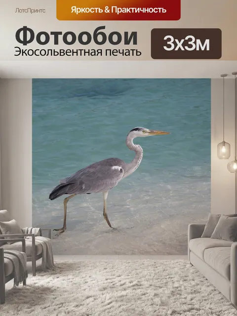 Фотообои Серая цапля