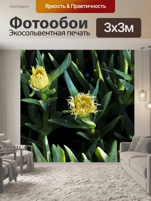 Фотообои Ice растение с желтыми цветами