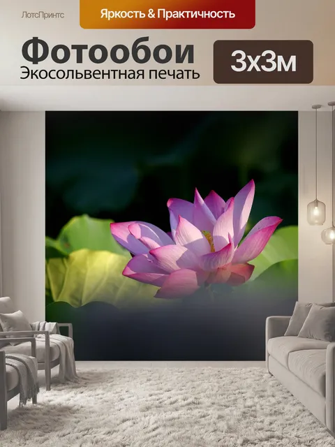 Фотообои лотос