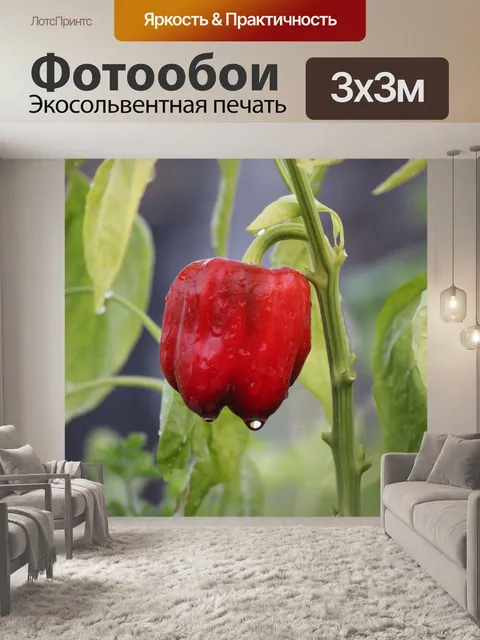 Фотообои Мокрый перец