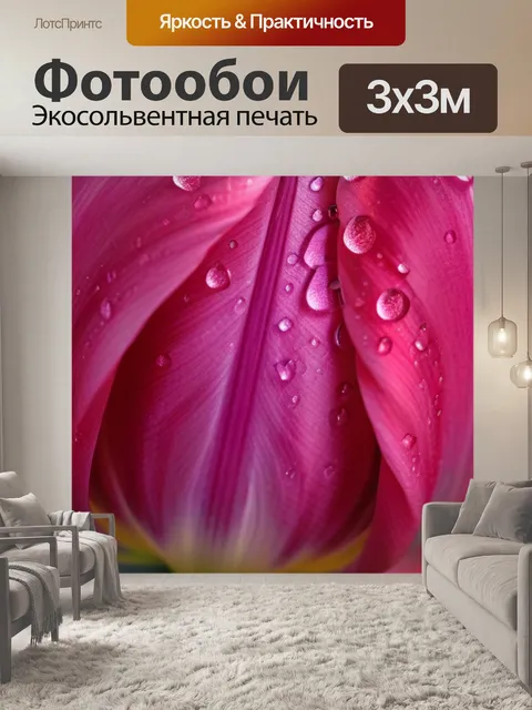 Фотообои розовый тюльпан с каплями росы