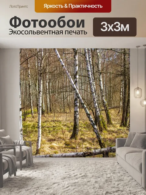 Фотообои Береза