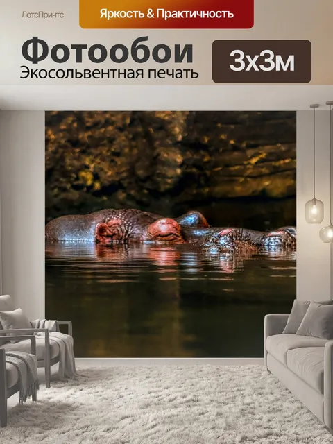 Фотообои Бегемот