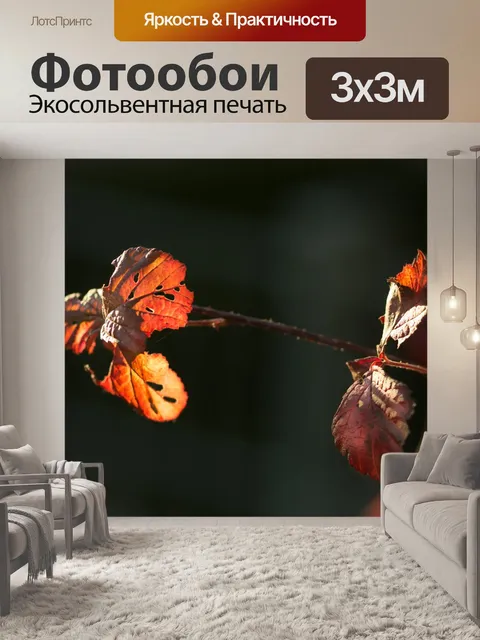 Фотообои Осеннее настроение