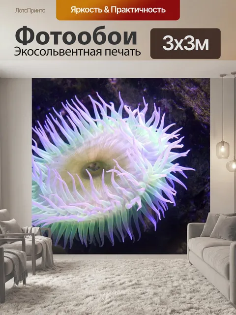 Фотообои Морской анемон
