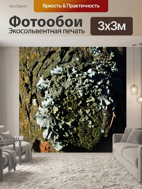 Фотообои светло-серый лишайник на отрезан отрасли