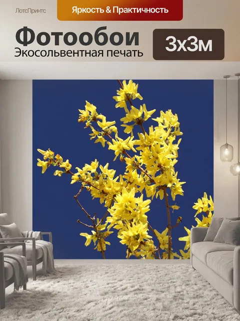 Фотообои Форсайтия