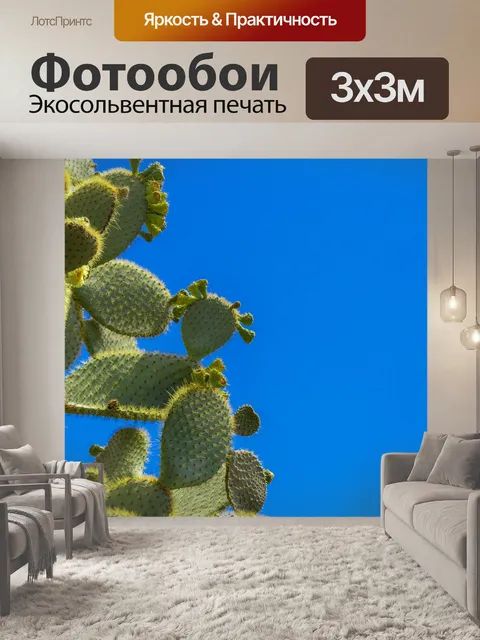 Фотообои Кактус против голубого неба