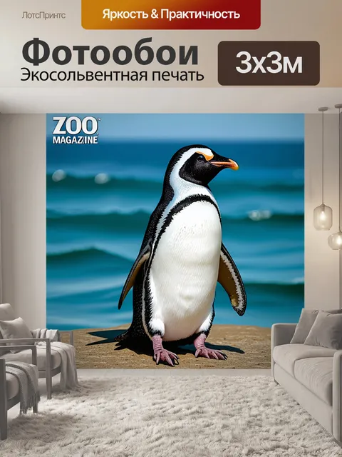 Фотообои пингвин на фоне открытого моря, журнал зоопарка акцентирует внимание на природных условиях жизни этих птиц