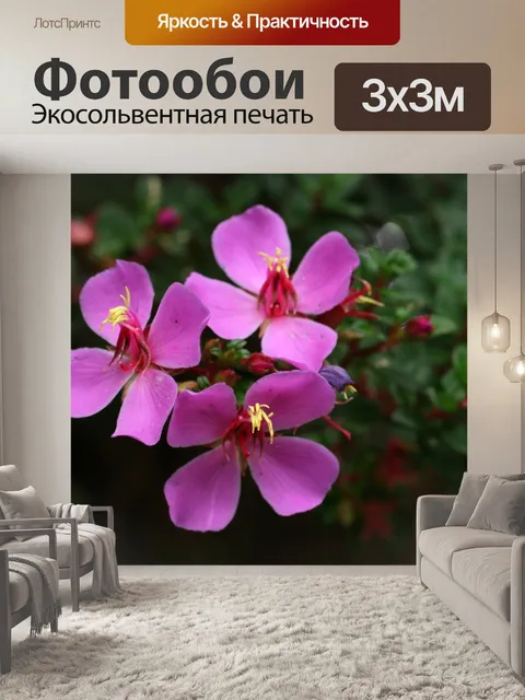 Фотообои Коста-Рика Цветы