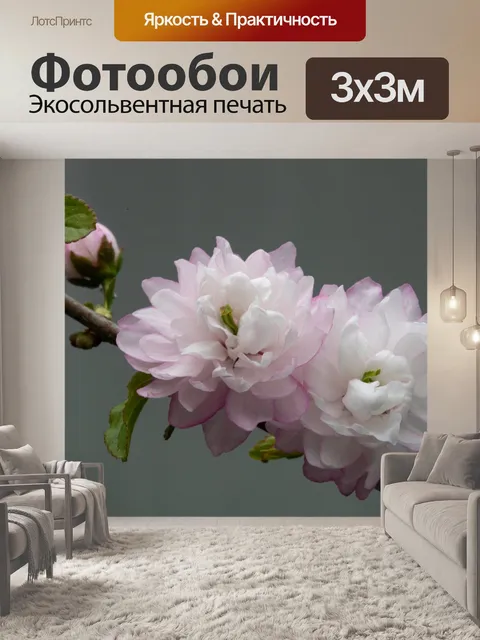 Фотообои Сливовый босс