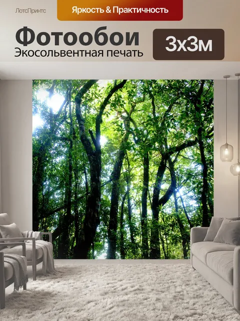 Фотообои Природа тропический лес дои Интанон наци