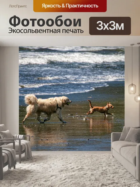 Фотообои собаки играют на пляже