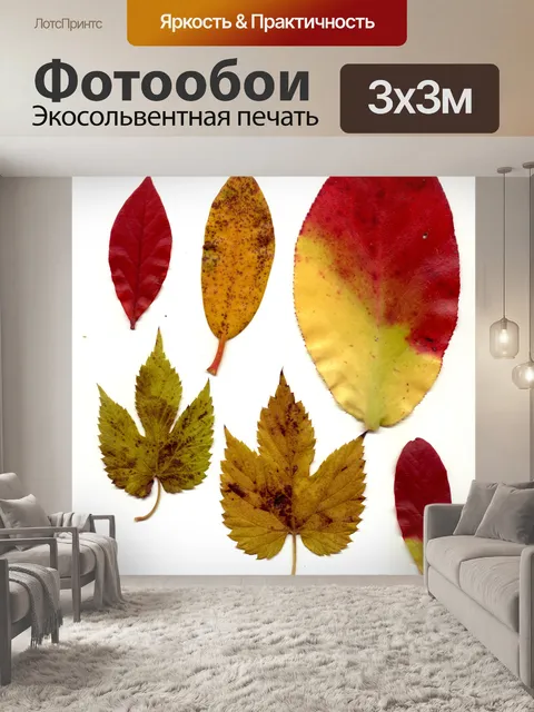 Фотообои Осенние листья