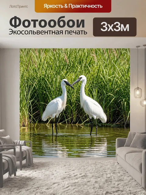 Фотообои Две белые цапли с длинными черными ногами и острыми клювами стоят в мелкой воде на фоне густой зеленой травы…