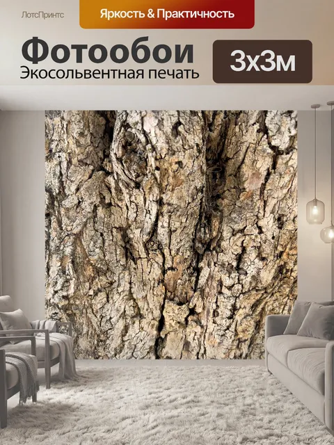 Фотообои Текстура коры оливкового дерева