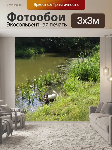 Фотообои Собака, Польша