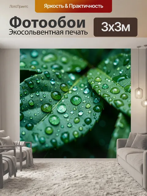 Фотообои Листья с росой и каплями