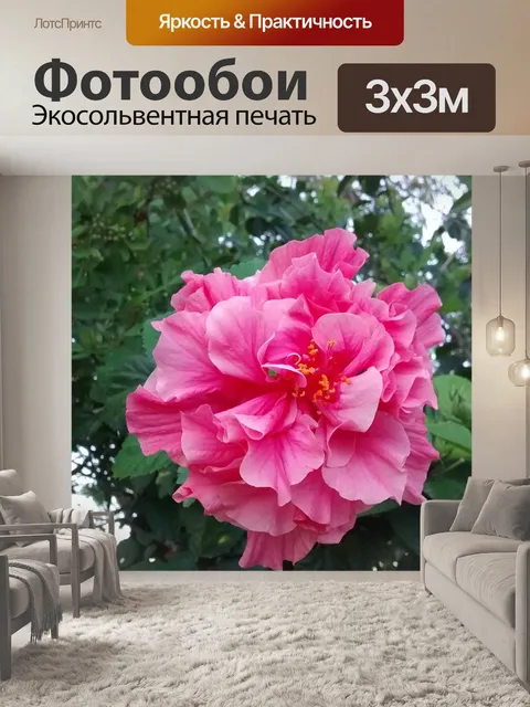 Фотообои Цыганский