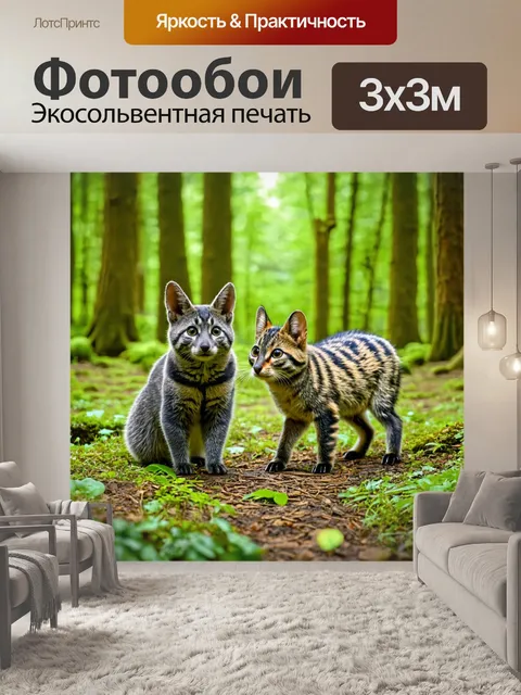 Фотообои лесная школа для животных, где обучают магии и наукам