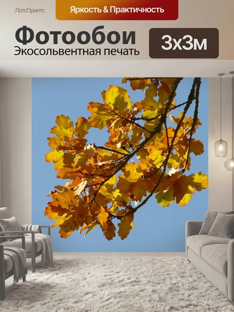 Фотообои Дубовые листья