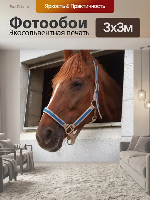 Фотообои Амишская лошадь