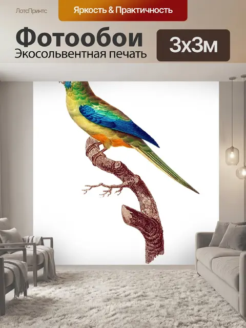 Фотообои Попугай птица старинное искусство