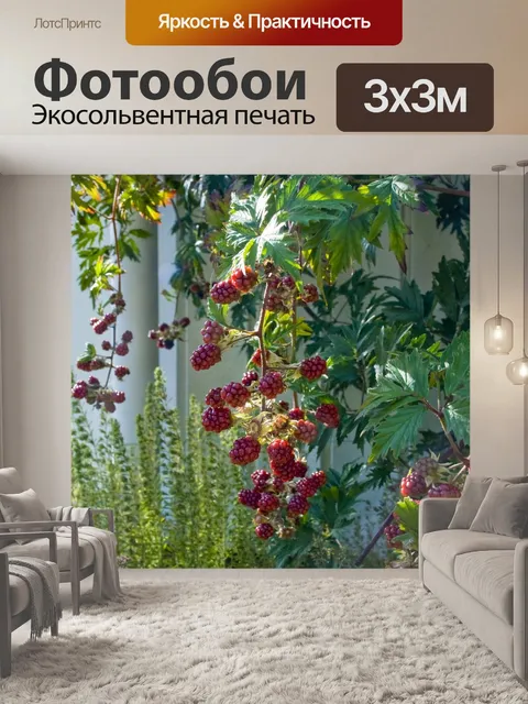 Фотообои Ежевика