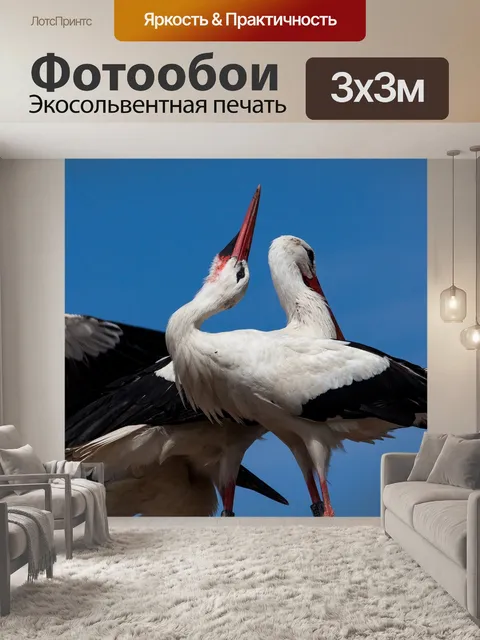 Фотообои Аист