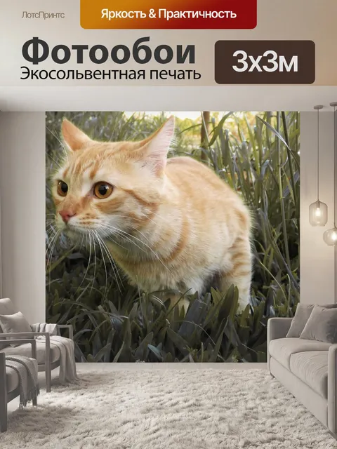 Фотообои Кошка
