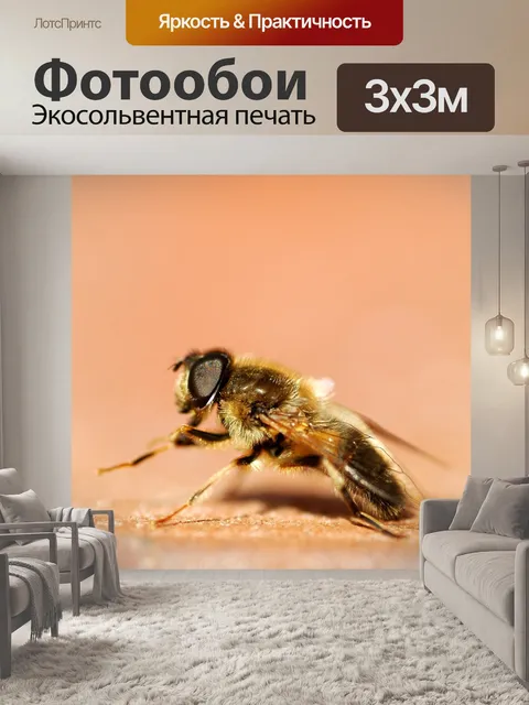 Фотообои Комар