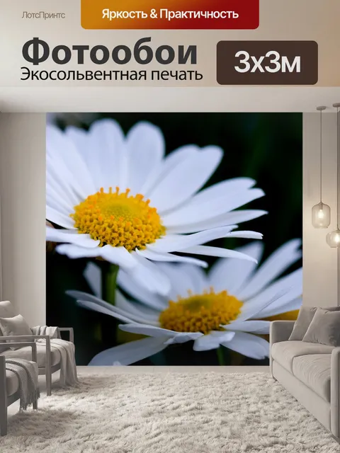 Фотообои Цветы