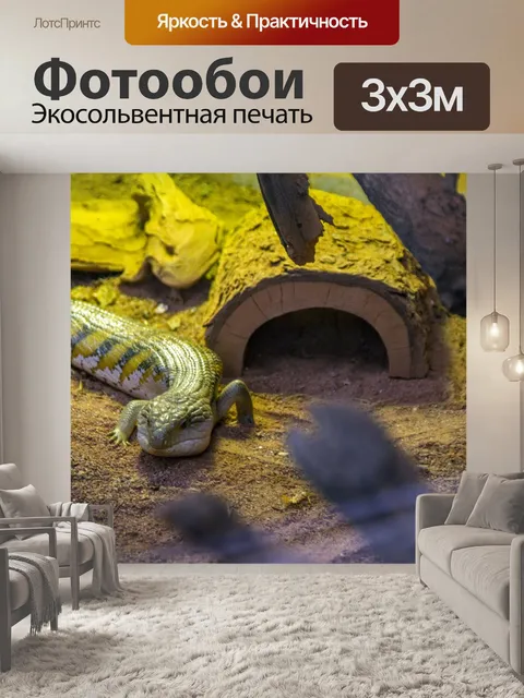 Фотообои сцинковая ящерица